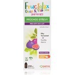 Fructolax Fruit and Fiber SIRUP 1×250 ml, syrup