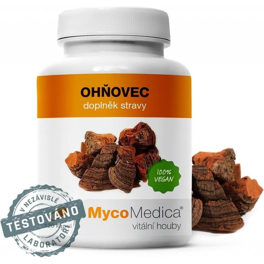 Mycomedica Ohnovec Ohnovec 30% Vegan 400mg 120cps 1×120 cps