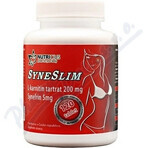 SYNESLIM synephrine + L-carnitine 1×120 tbl, synephrine + L-carnitine