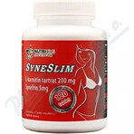 SYNESLIM synephrine + L-carnitine 1×120 tbl, synephrine + L-carnitine SYNESLIM synephrine + L-carnitine 1×120 tbl, synephrine + L-carnitine