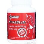SYNESLIM synephrine + L-carnitine 1×120 tbl, synephrine + L-carnitine