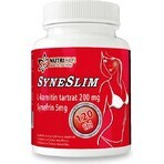 SYNESLIM synephrine + L-carnitine 1×120 tbl, synephrine + L-carnitine SYNESLIM synephrine + L-carnitine 1×120 tbl, synephrine + L-carnitine