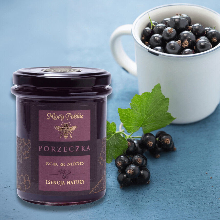 Miody Polskie Juice and honey, currant, 250 g