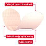 Leukoplast barrièreset, pleisters, 3 maten, 2 x 20 stuks Leukoplast barrièreset, pleisters, 3 maten, 2 x 20 stuks