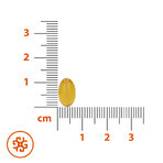 SEMA Lab, LokoMoto, 20 cápsulas blandas Envase dañado SEMA Lab, LokoMoto, 20 cápsulas blandas Envase dañado
