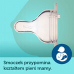 Set Canpol Babies EasyStart, biberon anti-colic, de la naștere, 120 ml + biberon anti-colic, 3-6 luni, 240 ml + lichid de curățat biberon și tetină, 500 ml pentru 1 penny Set Canpol Babies EasyStart, biberon anti-colic, de la naștere, 120 ml + biberon anti-colic, 3-6 luni, 240 ml + lichid de curățat biberon și tetină, 500 ml pentru 1 penny