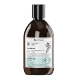Vis Plantis Pharma Care, Shampoo für fettiges Haar, Minze + Zink, 500 ml