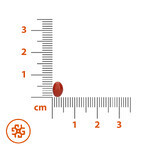SEMA Lab Beta-carotene + Vitamina E, 60 softgel Confezione danneggiata
