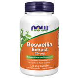 Now Foods Boswellia Extract 250 mg, Weihrauch mit Kurkuma, 120 vegane Kapseln