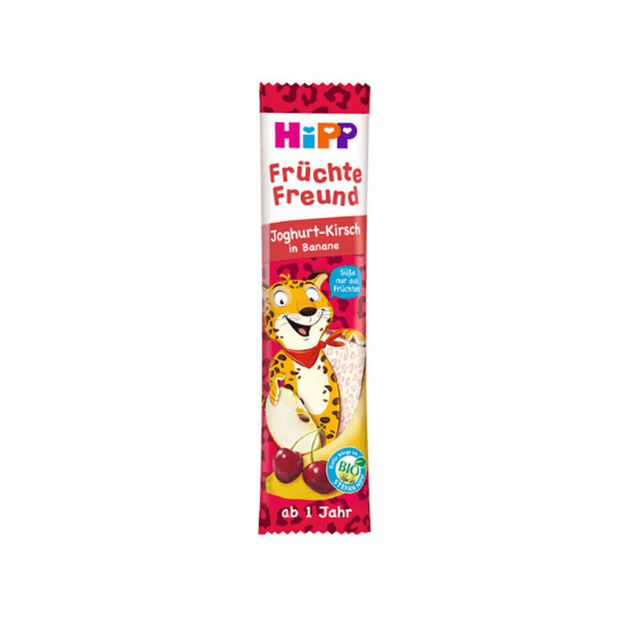 Buy Fruit Friend yogurt, cherry and banana bar, 23 gr, Hipp Fruit Friend yogurt, cherry and banana bar, 23 gr, Hipp