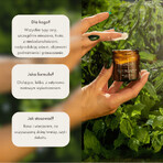 Mokosh crème apaisante et hydratante pour le visage, ortie et menthe, 60 ml Mokosh crème apaisante et hydratante pour le visage, ortie et menthe, 60 ml