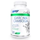 SFD Garcinia Cambogia, Malabar tamarind, 90 tablets