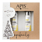 Apis Ceramide Power Set, nourishing day cream 50 ml + repairing night mask 50 ml