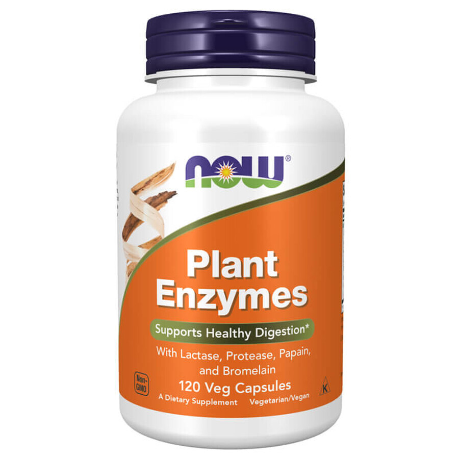 Now Foods Plant Enzyme, enzymes végétales, 120 gélules