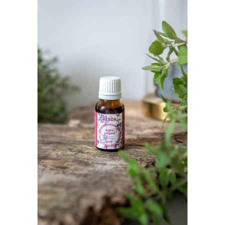 Ätherisches Oregano-Öl Hebda wild, 15 ml