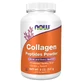 Now Foods Kollagenpeptid, Pulver, 227 g