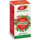Biosept jarabe de miel y propóleo, A13, 100 ml, Fares
