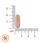 Prenalen Immuno Formula Set, für schwangere und stillende Frauen, 2 x 30 Kapseln