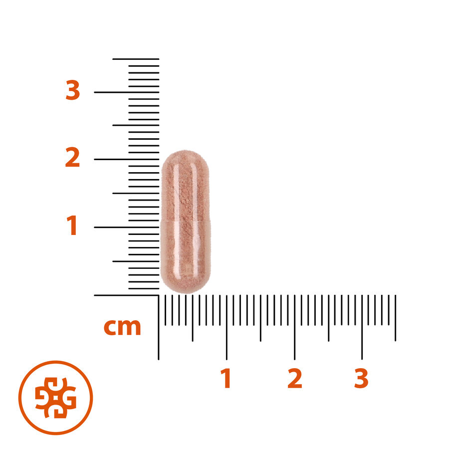 Prenalen Immuno Formula Set, für schwangere und stillende Frauen, 2 x 30 Kapseln