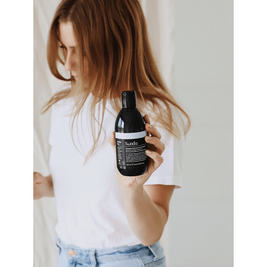 Daily hair care shampoo Sendo Gentle use 250 ml