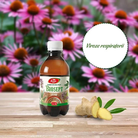 Biosept siroop, A16, 250 ml, Fares