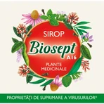 Biosept siroop, A16, 250 ml, Fares