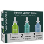 Skincyclopedia Blemish Correct Guide, smetbehandeling, 3 x 15 ml Skincyclopedia Blemish Correct Guide, smetbehandeling, 3 x 15 ml