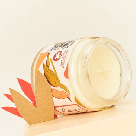 Four Starling, spicy soy candle, 120 g
