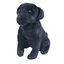 Teddy Toy Puppy with sound, 14 cm, Labrador Black, Wild Republic