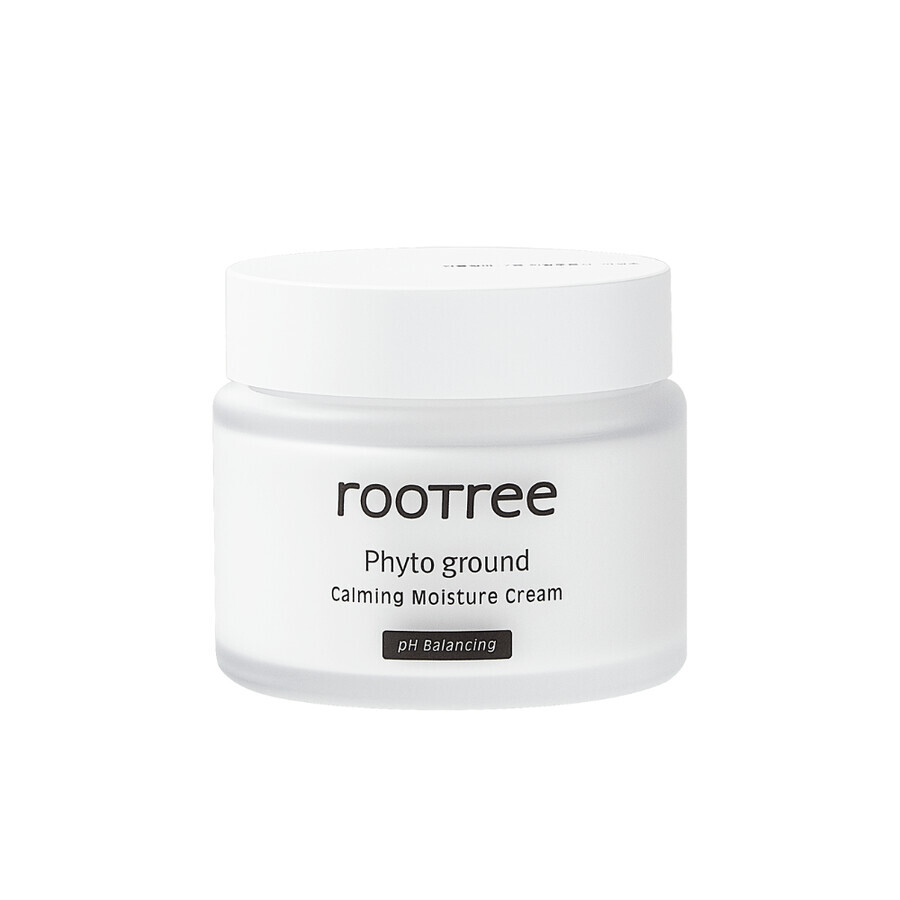 Phyto Ground soothing moisturizing cream, 80 g, Rootree