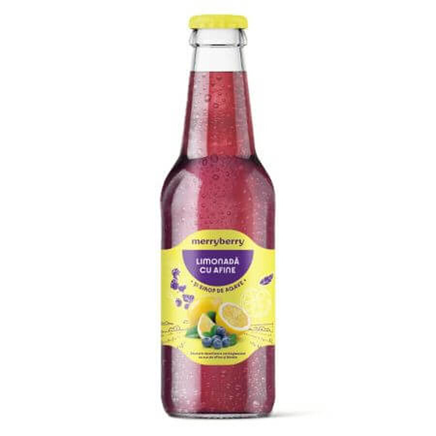 Heidelbeer-Limonade, 200 ml, MerryBerry