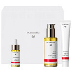 Dr. Hauschka Set corp frumos, cremă de mâini hidratantă, 50 ml + ulei de îngrijire a corpului, 75 ml + ulei de unghii, 18 ml Dr. Hauschka Set corp frumos, cremă de mâini hidratantă, 50 ml + ulei de îngrijire a corpului, 75 ml + ulei de unghii, 18 ml