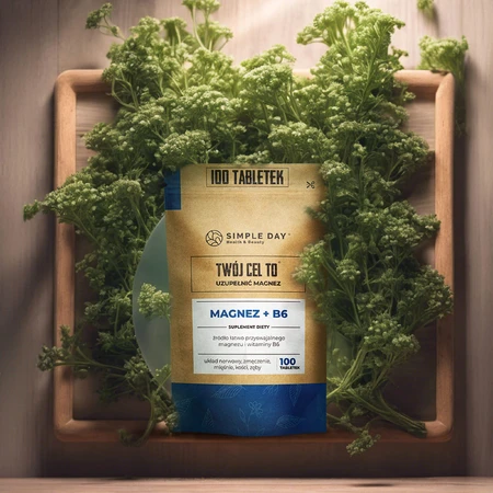 Simple Day Magnesium + B6, 100 Tabletten