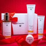 Dr. Hauschka Beautiful Face Set, invigorating toner 100 ml + rose day cream 30 ml + face wash 75 ml + lip balm in jar 4.5 ml Dr. Hauschka Beautiful Face Set, invigorating toner 100 ml + rose day cream 30 ml + face wash 75 ml + lip balm in jar 4.5 ml