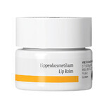 Dr. Hauschka Beautiful Face Set, invigorating toner 100 ml + rose day cream 30 ml + face wash 75 ml + lip balm in jar 4.5 ml