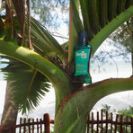 SmileUp refreshing mouthwash, exotic mango with mint, 250 ml