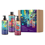 Vianek prebiotic hair kit, hoofdhuid scrub, 150 ml + hoofdhuid scrub, 150 ml + versterkende shampoo, 300 ml Vianek prebiotic hair kit, hoofdhuid scrub, 150 ml + hoofdhuid scrub, 150 ml + versterkende shampoo, 300 ml