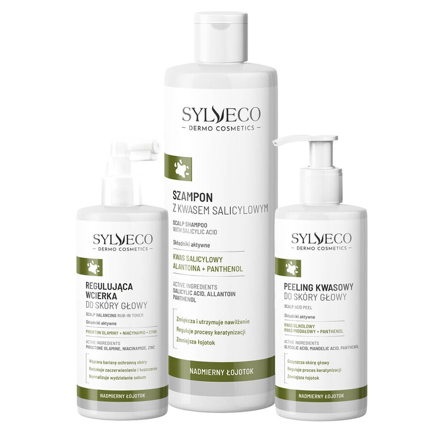 Set Sylveco Dermo Excessive Seborrhea, scalp regulating poultice 150 ml + salicylic acid shampoo 300 ml + acid scalp scrub 150 ml for 1 penny
