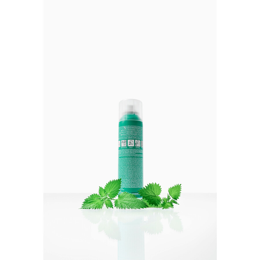 Klorane Nettle Dry Shampoo for Black and Oily Hair, 150 ml