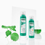 Klorane Nettle Dry Shampoo for Black and Oily Hair, 150 ml