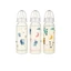 Fles met standaard hals, M speen, 240ml, Baby nova