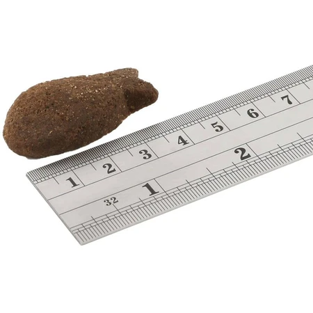 Fish4Dogs Golosinas para la salud articular con trocitos de salmón 225 g