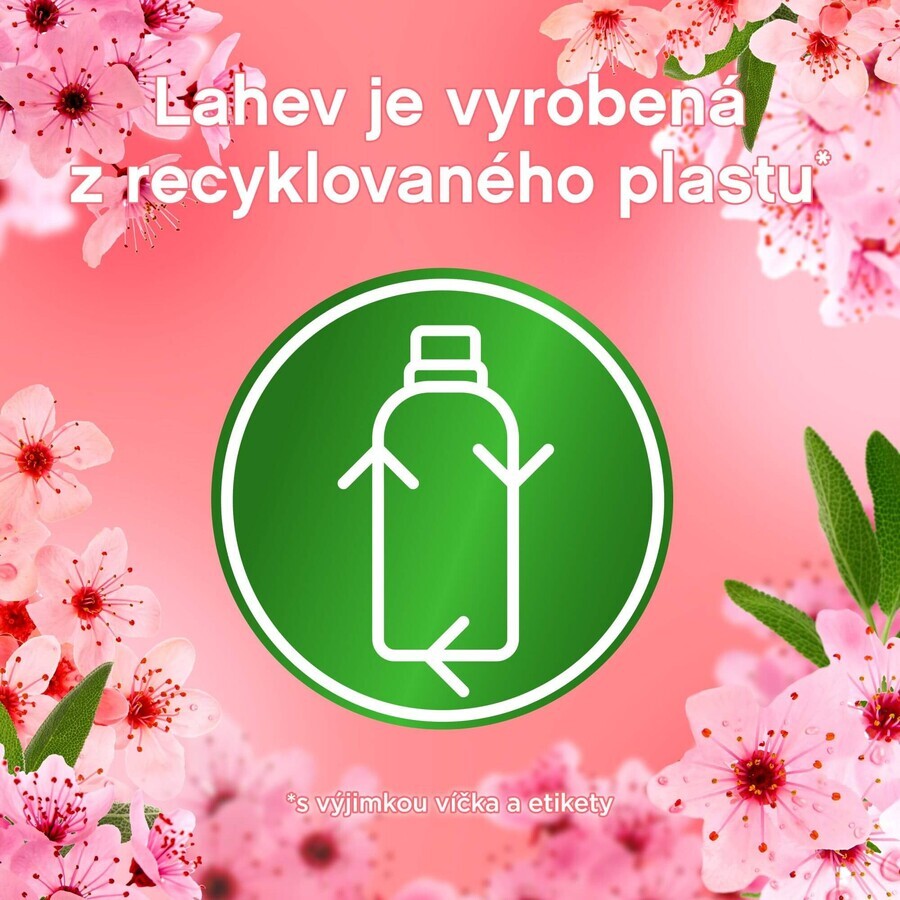 Lenor Kirschblüte und Salbei Weichspüler 925 ml