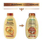 Garnier Botanic Therapy Honey & Propolis Nourishing Shampoo for Very Damaged Hair 400 ml