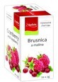 Apotheke Premier Selection Sachets de Th&#233; Canneberge et Framboise 20 x 2 g