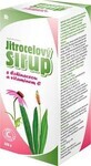 Herbacos Plantain syrup with Echinacea and vitamin C 320 g