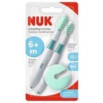 Nuk Cepillo de dientes y cepillo de masaje 2 piezas Nuk Cepillo de dientes y cepillo de masaje 2 piezas