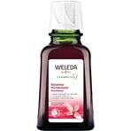 Weleda Mundspülung 50 ml Weleda Mundspülung 50 ml