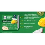 Gerber Bio 100% plantaardig mango en kiwi toetje met kokosmelk 4 x 90 g Gerber Bio 100% plantaardig mango en kiwi toetje met kokosmelk 4 x 90 g
