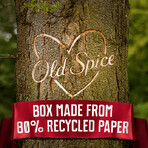 Old Spice Gamer pour hommes - coffret cadeau comprenant un déodorant en stick et un gel douche à l'argousier au goût d'agrumes tropicaux